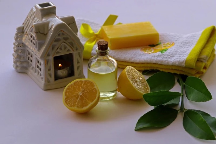 After Being Used for Cleaning, Cologne Became a Favorite Among the Bourgeoisie!