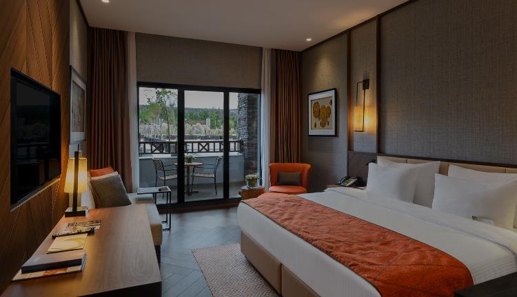 DELUXE ROOM WITH KING SIZE BED, COURTYARD VIEW 