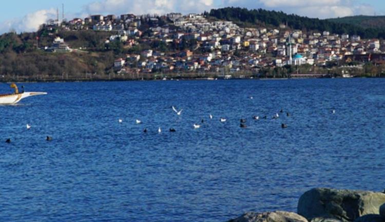 Activities To Do in Sapanca
