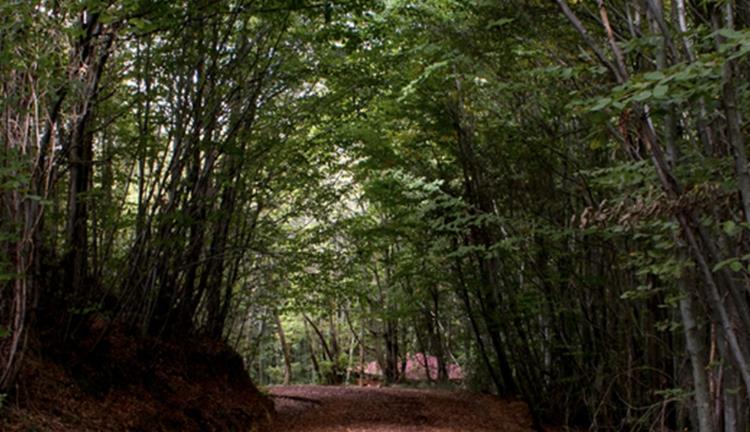 Polonezköy Travel Guide... Breakfast, Hiking, Nature Activities