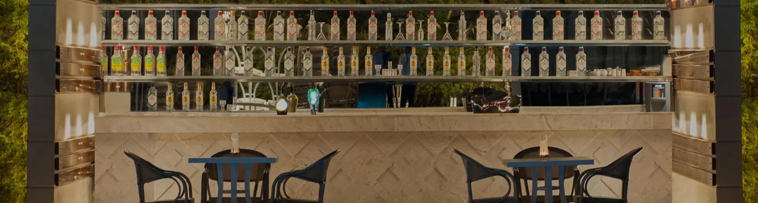 THE PALM BAR