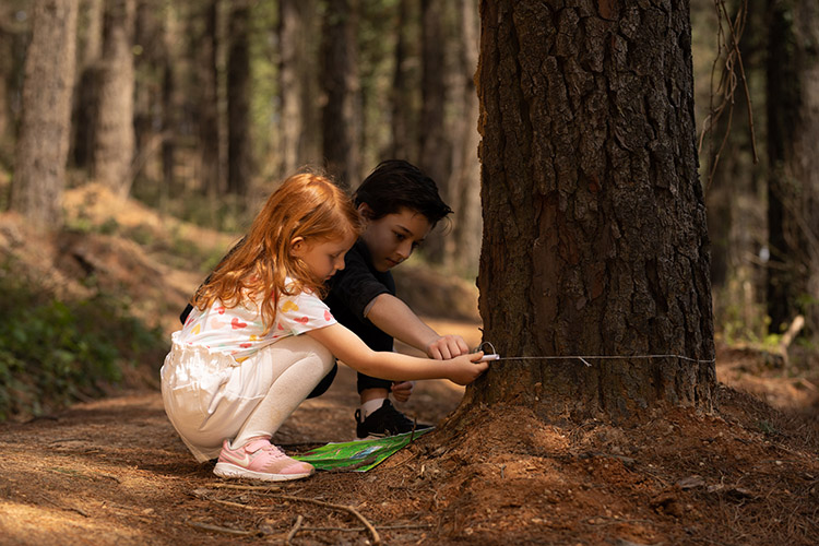 The Most Helpful Activity Suggestions for Socializing Children