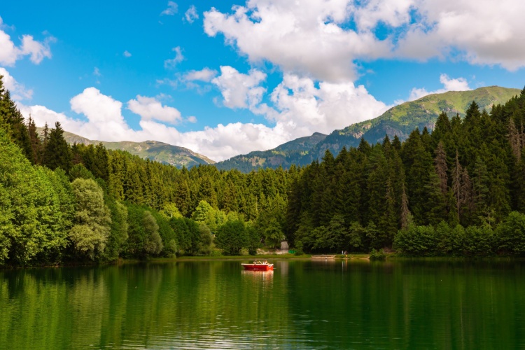 Destinations Where You Can Enjoy a Nature Holiday by the Campfire