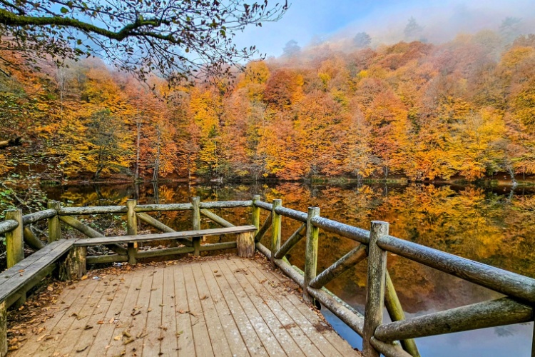 A Delightful Autumn Holiday: Sapanca Hotels with Fireplaces