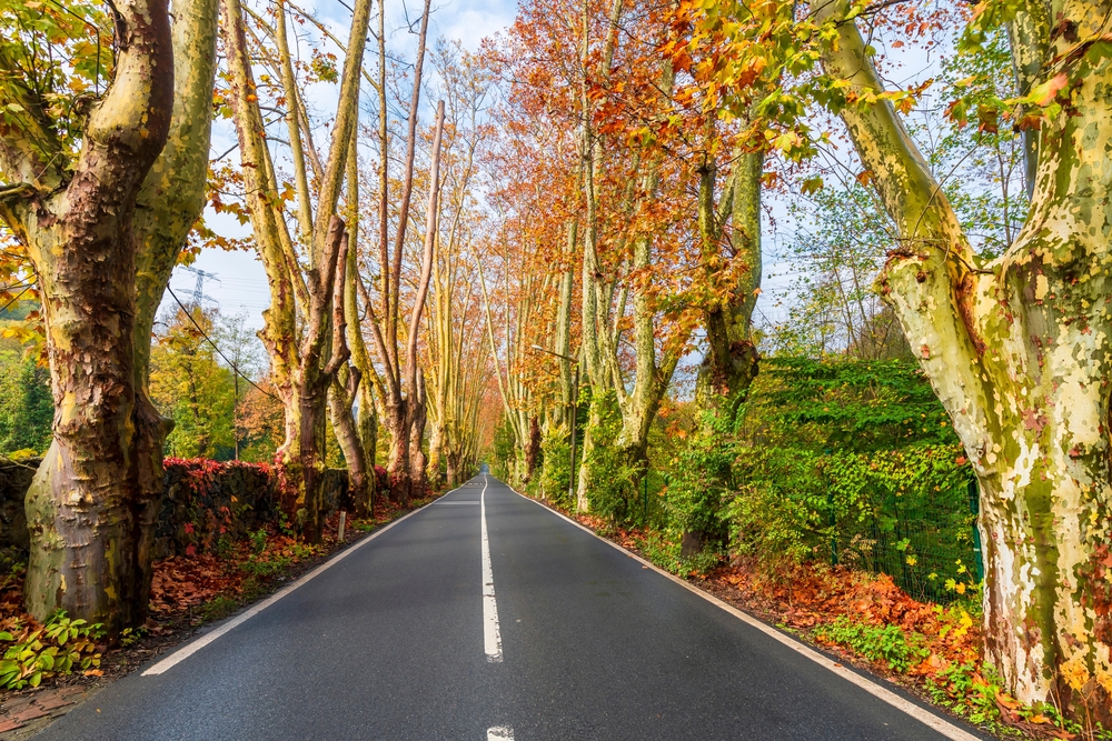 7 Peaceful Places in İstanbul Where You Can Find Tranquility