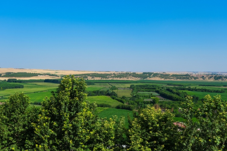 The Emerald Heart of Diyarbakır: The Hevsel Gardens