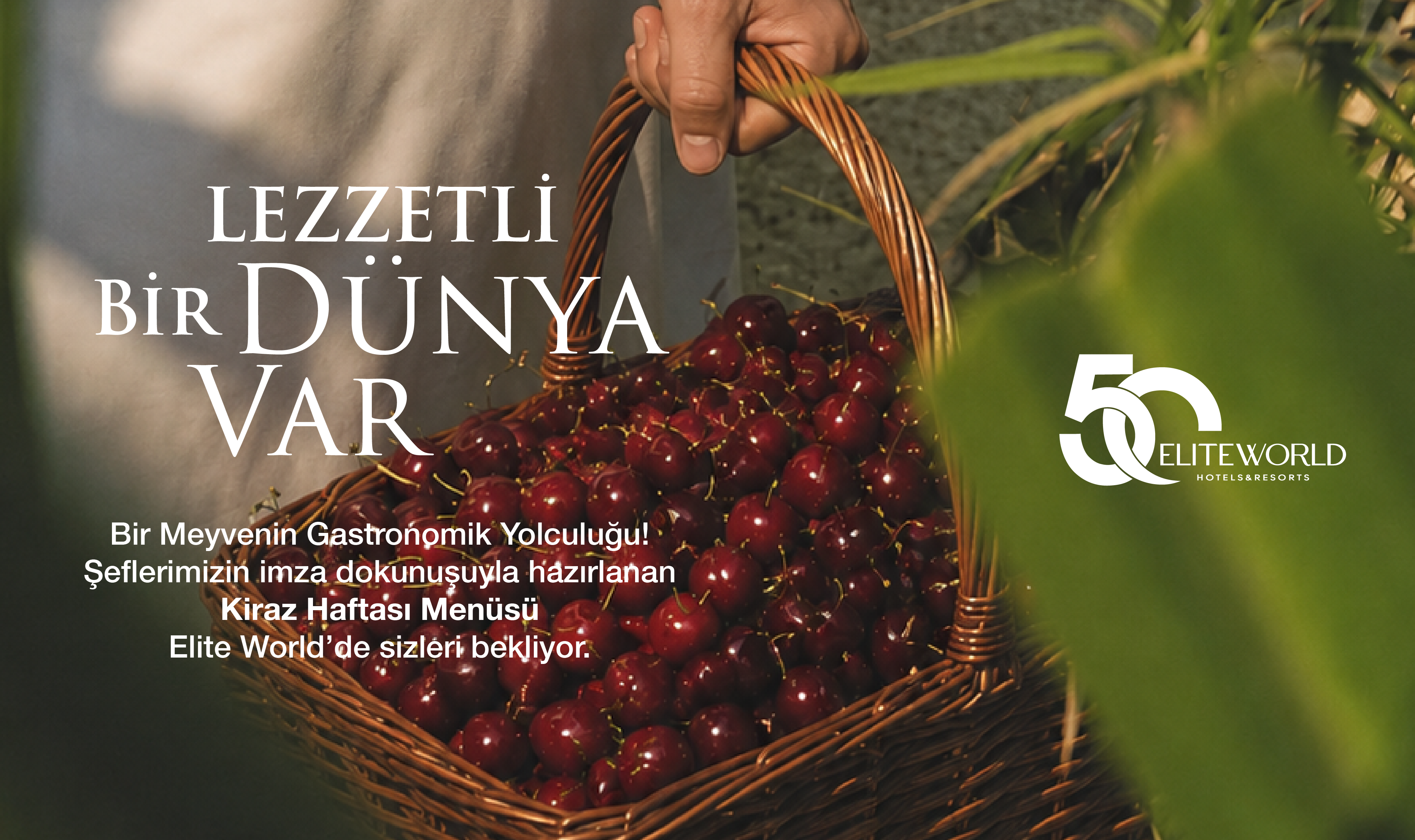A Flavor Journey from Cerasus to Istanbul