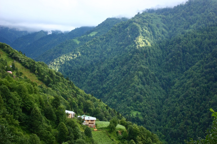 Misty and lush green mountain landscape of Maçahel Valley in Artvin