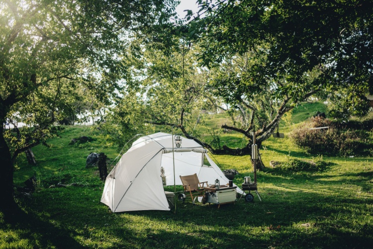 huzurlu bir kamp ortamı