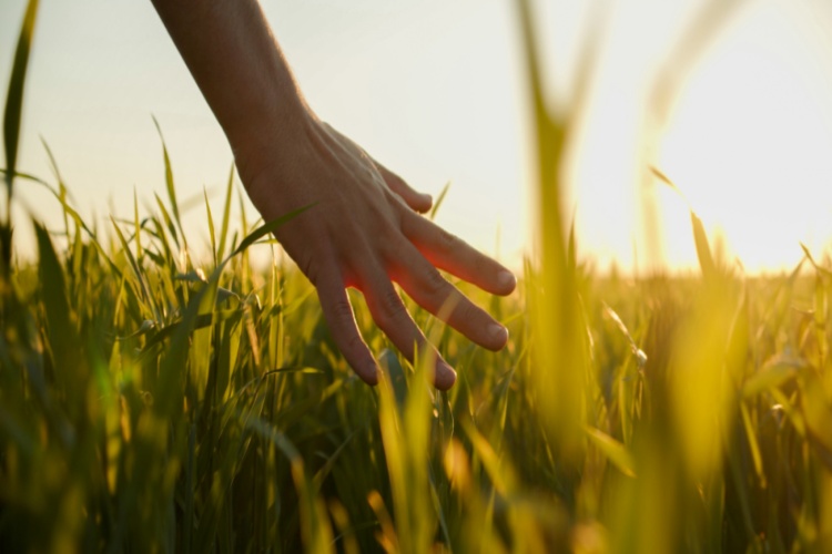 The Feel-Good Power of Nature: What is Vitamin G?