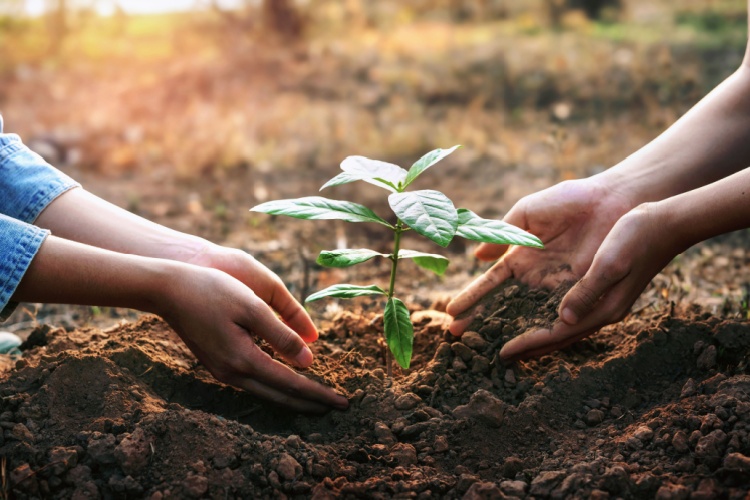 Protecting Nature Is Not a Choice, But a Responsibility