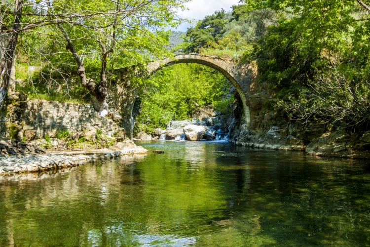A historical stone bridge and forest landscape in Kazdağı National Park, Balıkesir