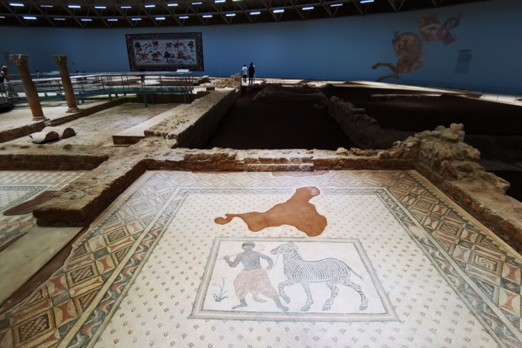 Haleplibahçe Mosaic Museum