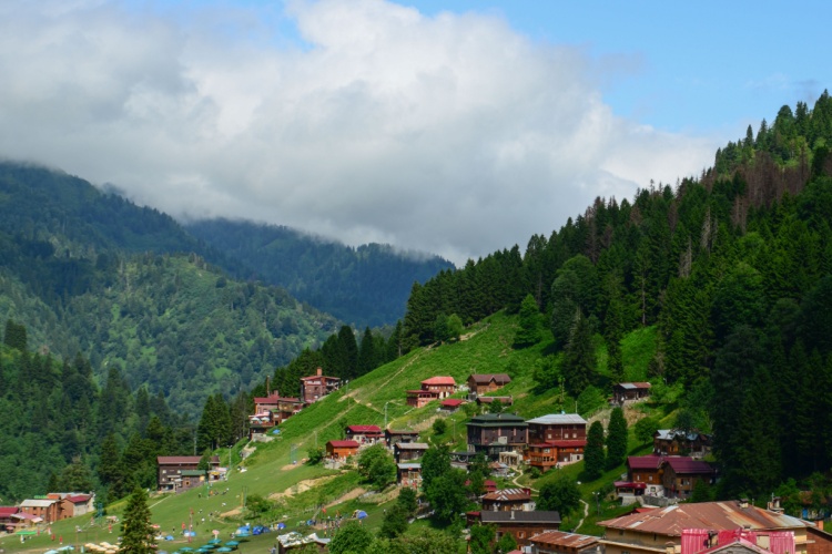 Rize'deki Ayder Yaylası'nın yemyeşil doğası ve ahşap evleri