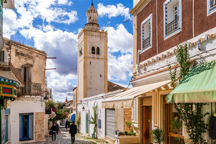A Mediterranean Oasis: Tunis