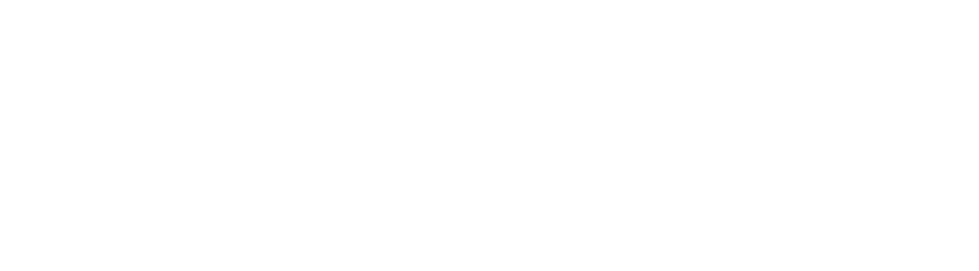 Elite World INN